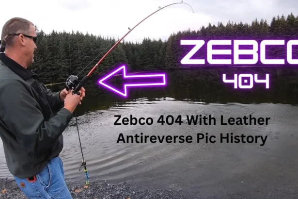 Top N zebco 404 with leather antireverse pic history: A Comprehensive Guide